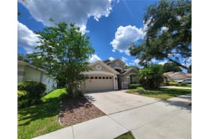 10127 HEATHER SOUND DRIVE, TAMPA, FL 33647 Sold 10/28/24