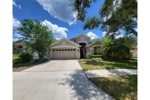 10127 HEATHER SOUND DRIVE, TAMPA, FL 33647 Sold 10/28/24
