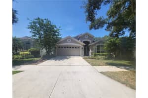 10127 HEATHER SOUND DRIVE, TAMPA, FL 33647 Sold 10/28/24