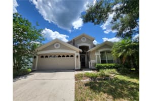 10127 HEATHER SOUND DRIVE, TAMPA, FL 33647 Sold 10/28/24