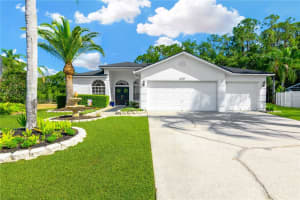 16109 WENTWORTH WAY, ODESSA, FL 33556 Sold 07/10/24