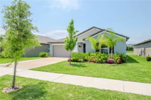 10419 ALDER GREEN DRIVE, RIVERVIEW, FL 33578 Sold 08/02/24