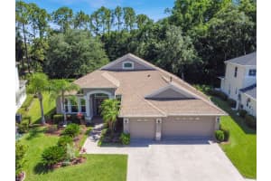 10543 CANARY ISLE DRIVE, TAMPA, FL 33647 Sold 07/09/24