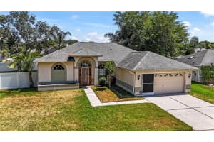 9656 FOX HEARST ROAD, TAMPA, FL 33647 Sold 09/13/24