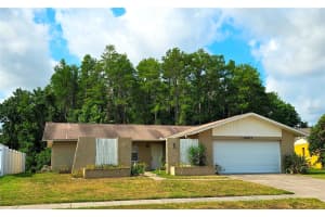 4641 SWALLOWTAIL DRIVE, NEW PORT RICHEY, FL 34653 Sold 07/01/24