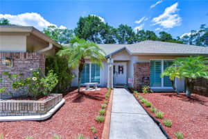 3319 CHEVIOT DRIVE, TAMPA, FL 33618 Sold 07/31/24