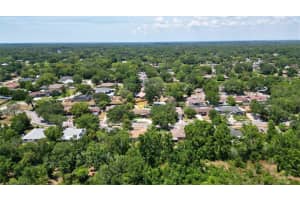 1702 BLIND POND AVENUE, LUTZ, FL 33549 - MLS#MFRT3530049