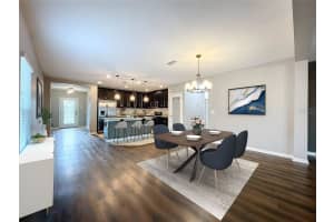 18996 MALINCHE LOOP, SPRING HILL, FL 34610 Sold 10/22/24