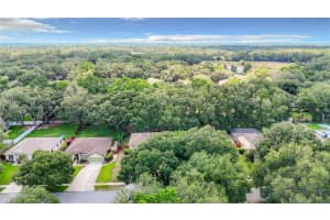 1528 MCCREA DRIVE, LUTZ, FL 33549 Sold 10/18/24