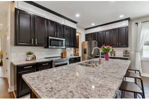 32624 COLDWATER CREEK LOOP, WESLEY CHAPEL, FL 33545 Sold 06/28/24