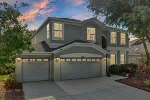 9733 ASBEL ESTATES STREET, LAND O LAKES, FL 34638 Sold 09/28/24
