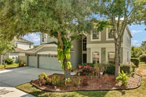 9733 ASBEL ESTATES STREET, LAND O LAKES, FL 34638 Sold 09/28/24