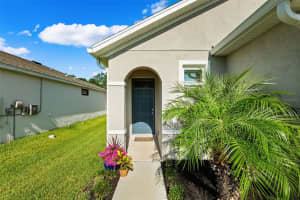 7984 WHEAT STONE DRIVE, ZEPHYRHILLS, FL 33540 Sold 08/15/24