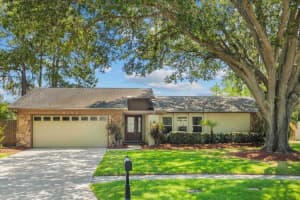 4163 ROLLING SPRINGS DR, TAMPA, FL 33624 Sold 11/25/24