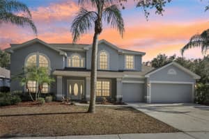 10246 SHADOW BRANCH DRIVE, TAMPA, FL 33647 Sold 07/30/24