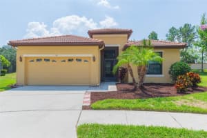 101 SILVER FALLS DRIVE, APOLLO BEACH, FL 33572 Sold 07/19/24