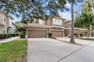 3372 COVERED BRIDGE DRIVE, DUNEDIN, FL 34698 Sold 12/03/24