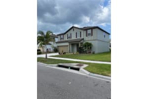 462 SPOTTED SLIPPER PLACE, RUSKIN, FL 33570 - MLS#MFRT3530870