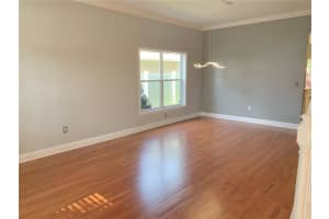 3207 DUNSTABLE DRIVE, LAND O LAKES, FL 34638 Sold 12/18/24