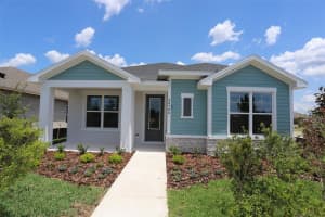 28768 RAMBUTAN DRIVE, WESLEY CHAPEL, FL 33543 Sold 07/19/24