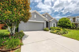 11851 CHAPLAIN PLACE, NEW PORT RICHEY, FL 34654 Sold 06/28/24