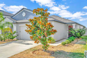 6264 SPRING CRAYFISH AVENUE, NEW PORT RICHEY, FL 34653 Sold 07/20/24