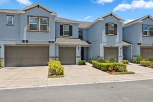6885 CITRUS CREEK LANE, TAMPA, FL 33625 Sold 09/13/24