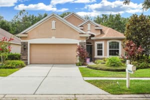 17928 TIMBER VIEW STREET, TAMPA, FL 33647 Sold 07/08/24