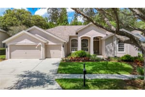 19205 AUTUMN WOODS AVENUE, TAMPA, FL 33647 Sold 07/10/24