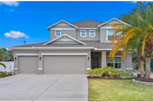 2905 ELROD AVENUE, TAMPA, FL 33611 Sold 09/30/24