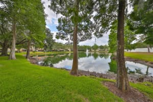 1363 BIG PINE DRIVE, VALRICO, FL 33596 Sold 11/08/24