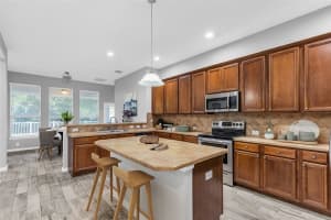 7441 AMBLESIDE DRIVE, LAND O LAKES, FL 34637 Sold 07/23/24