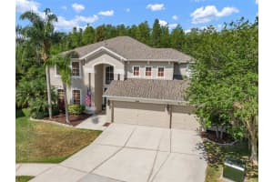 27344 HOLLYBROOK TRAIL, WESLEY CHAPEL, FL 33544 Sold 03/03/25