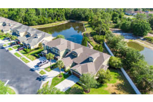 20135 INDIAN ROSEWOOD DRIVE, TAMPA, FL 33647 Sold 10/18/24