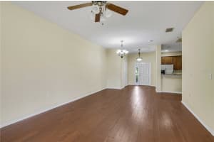 20135 INDIAN ROSEWOOD DRIVE, TAMPA, FL 33647 Sold 10/18/24