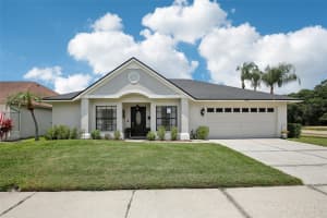 18313 CYPRESS VIEW WAY, TAMPA, FL 33647 Sold 07/15/24