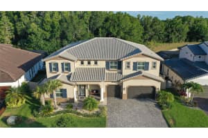 29104 PICANA LANE, WESLEY CHAPEL, FL 33543 Sold 07/26/24