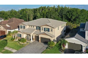 29104 PICANA LANE, WESLEY CHAPEL, FL 33543 Sold 07/26/24