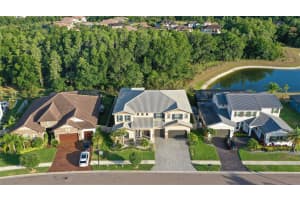 29104 PICANA LANE, WESLEY CHAPEL, FL 33543 Sold 07/26/24