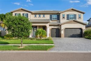 29104 PICANA LANE, WESLEY CHAPEL, FL 33543 Sold 07/26/24