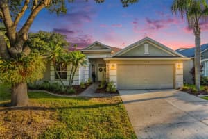 19113 GOLDEN CACOON PLACE, LUTZ, FL 33558 Sold 12/31/24