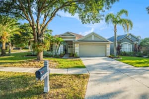 19113 GOLDEN CACOON PLACE, LUTZ, FL 33558 Sold 12/31/24