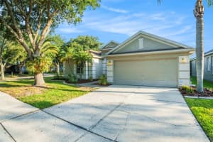 19113 GOLDEN CACOON PLACE, LUTZ, FL 33558 Sold 12/31/24