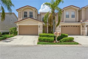 10426 La Mirage Ct, TAMPA