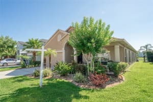 4102 WATERVILLE AVENUE, WESLEY CHAPEL, FL 33543 Sold 10/07/24