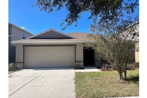 11147 RUNNING PINE DRIVE, RIVERVIEW, FL 33569 Sold 10/07/24