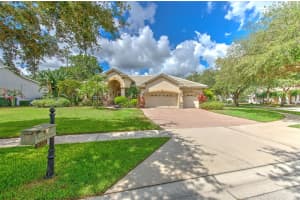 21220 SKY VISTA DRIVE, LAND O LAKES, FL 34637 Sold 11/28/24