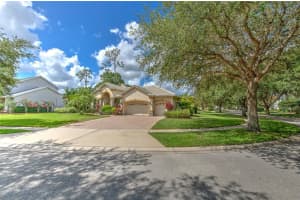 21220 SKY VISTA DRIVE, LAND O LAKES, FL 34637 Sold 11/28/24