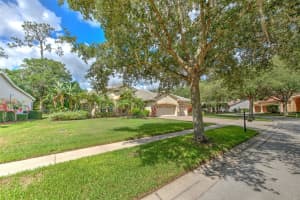 21220 SKY VISTA DRIVE, LAND O LAKES, FL 34637 Sold 11/28/24
