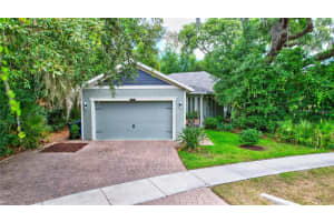 13806 LAKE FISHHAWK DRIVE, LITHIA, FL 33547 Sold 09/24/24